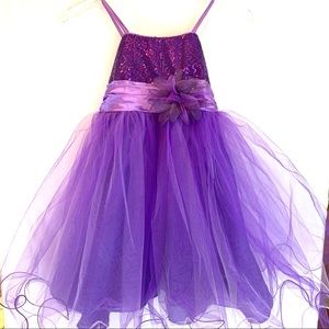 Cinderella Couture Purple Princess Dress